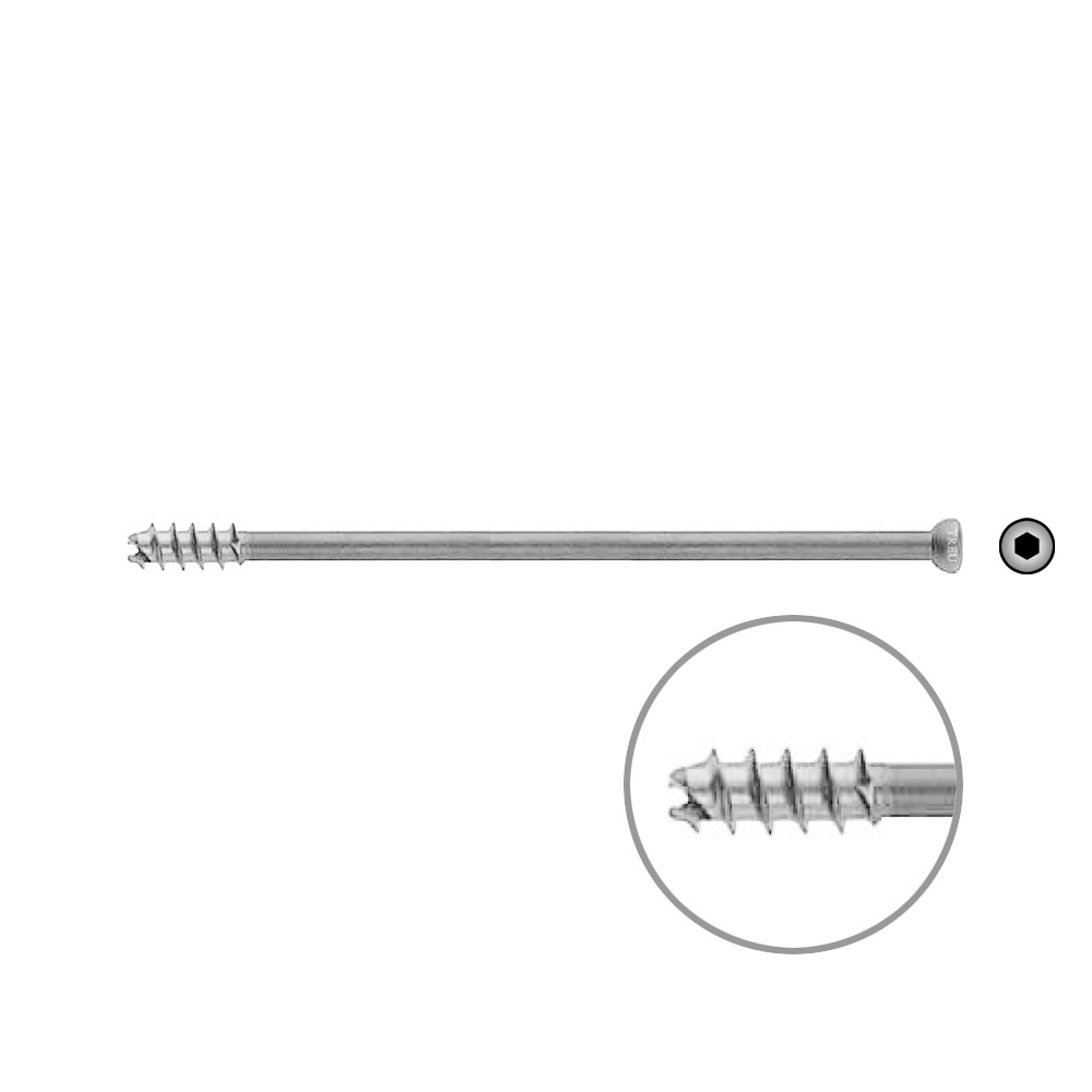 Hollow Screw 7 x 115mm thread 16mm selfcutting, Stainless Steel Dia of head 8,0mm