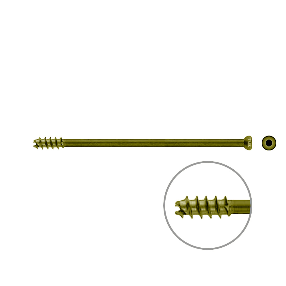 Hollow Screw 7 x 115mm thread 16mm selfcutting, TITAN 