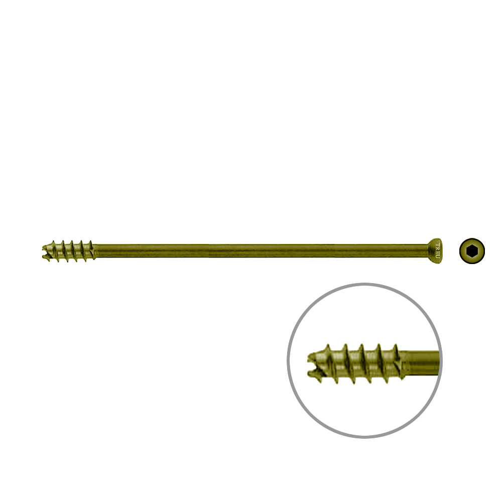 Hohlschraube 7mm Dia x 120mm 16 G selbstschneidend, TITAN 