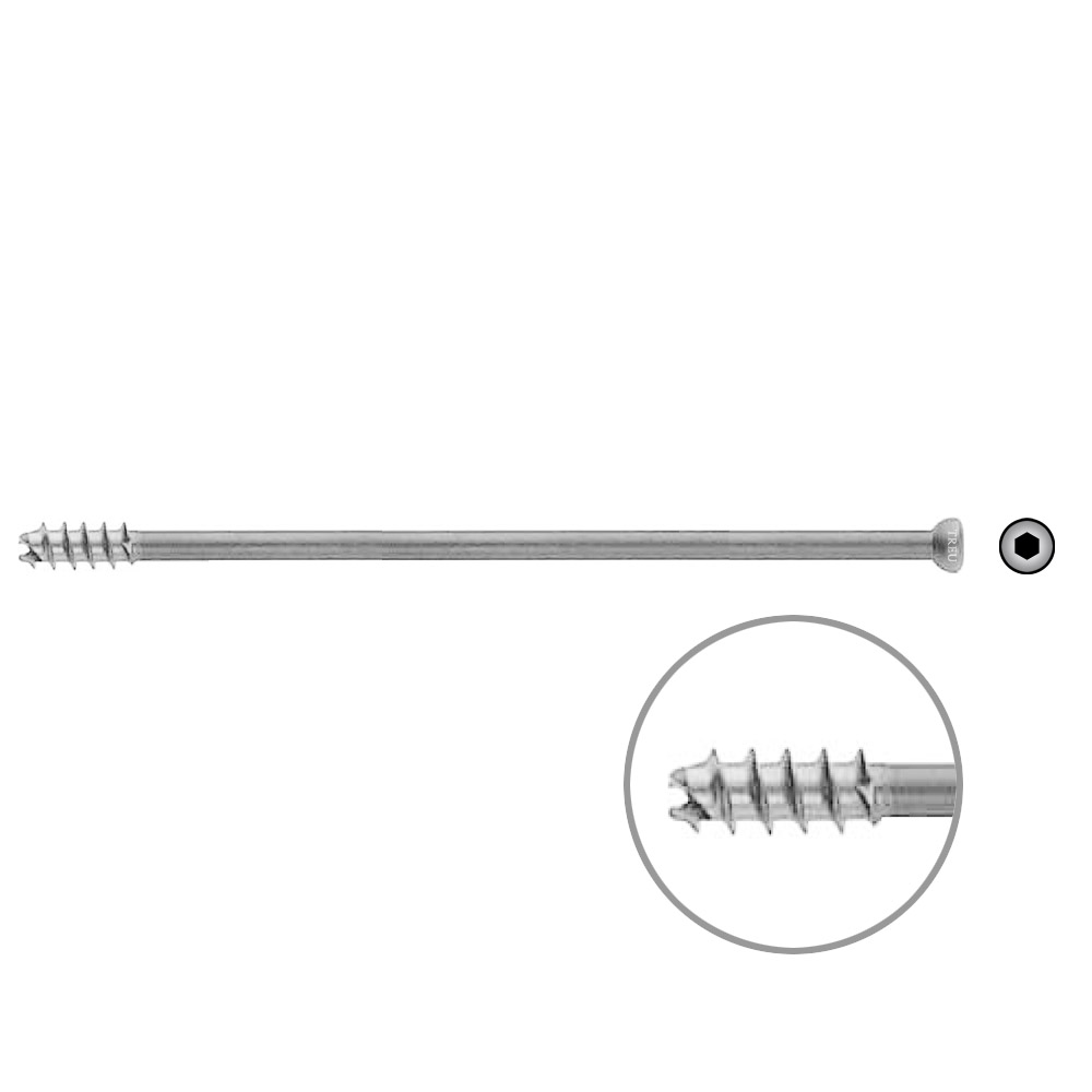 Hollow Screw 7 x 130mm thread 16mm selfcutting, Stainless Steel Dia of head 8,0mm