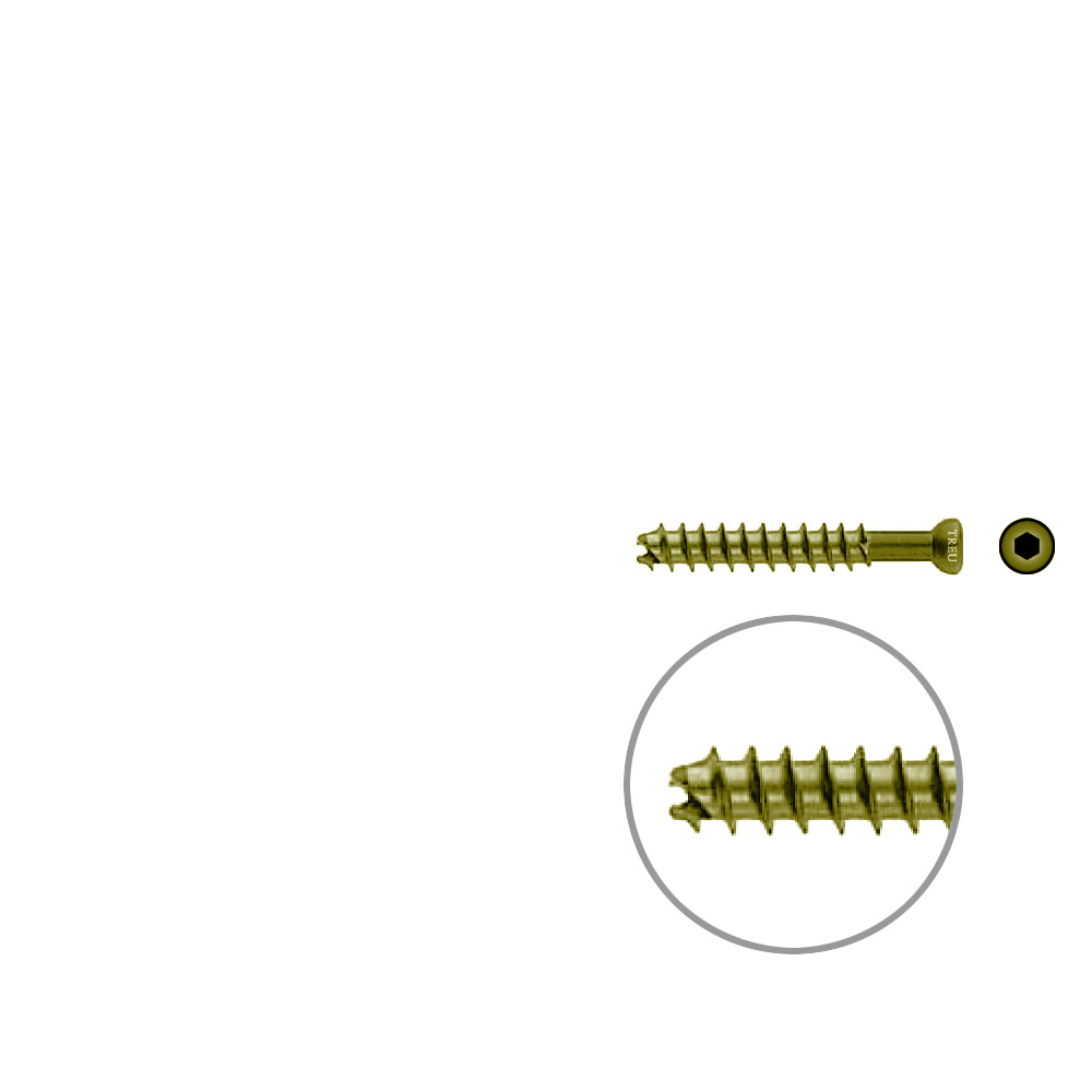 Hollow Screw 7 x 45mm thread 32mm selfcutting, TITAN 