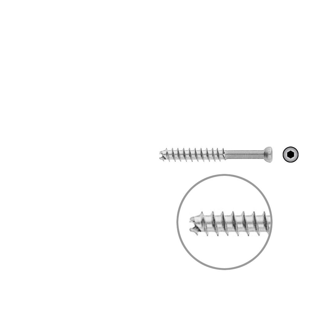 Hollow Screw 7 x 55mm thread 32mm selfcutting, Stainless Steel Dia of head 8,0 mm