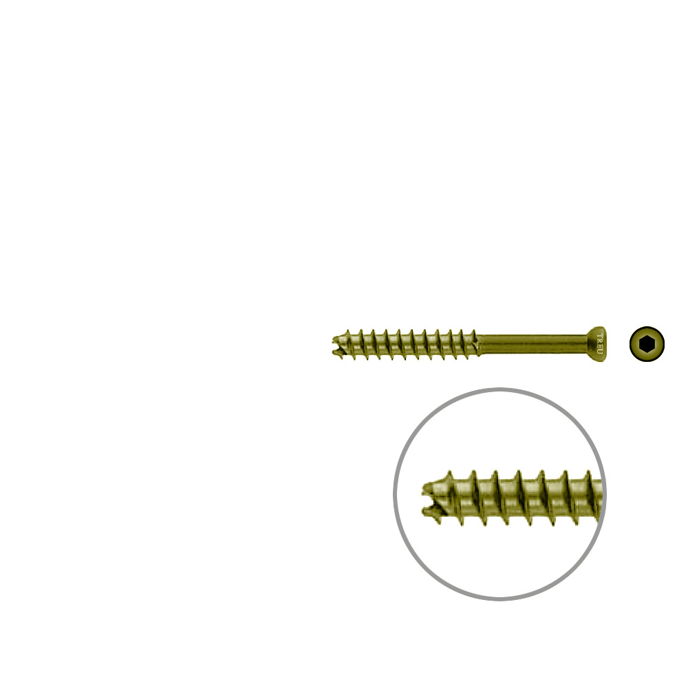 Hohlschraube 7mm Dia x 60mm 32 G selbstschneidend, TITAN 