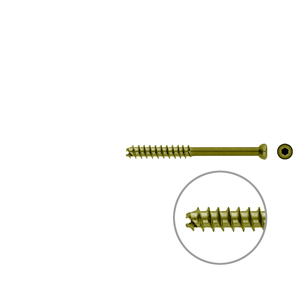 Hohlschraube 7mm Dia x 70mm 32 G selbstschneidend, TITAN 