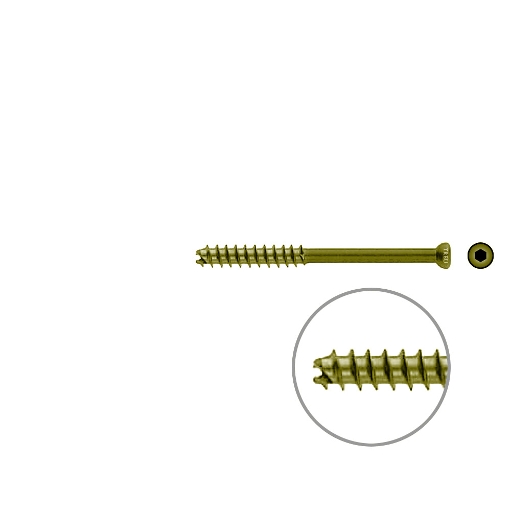 Hollow Screw 7 x 75mm thread 32mm selfcutting, TITAN 