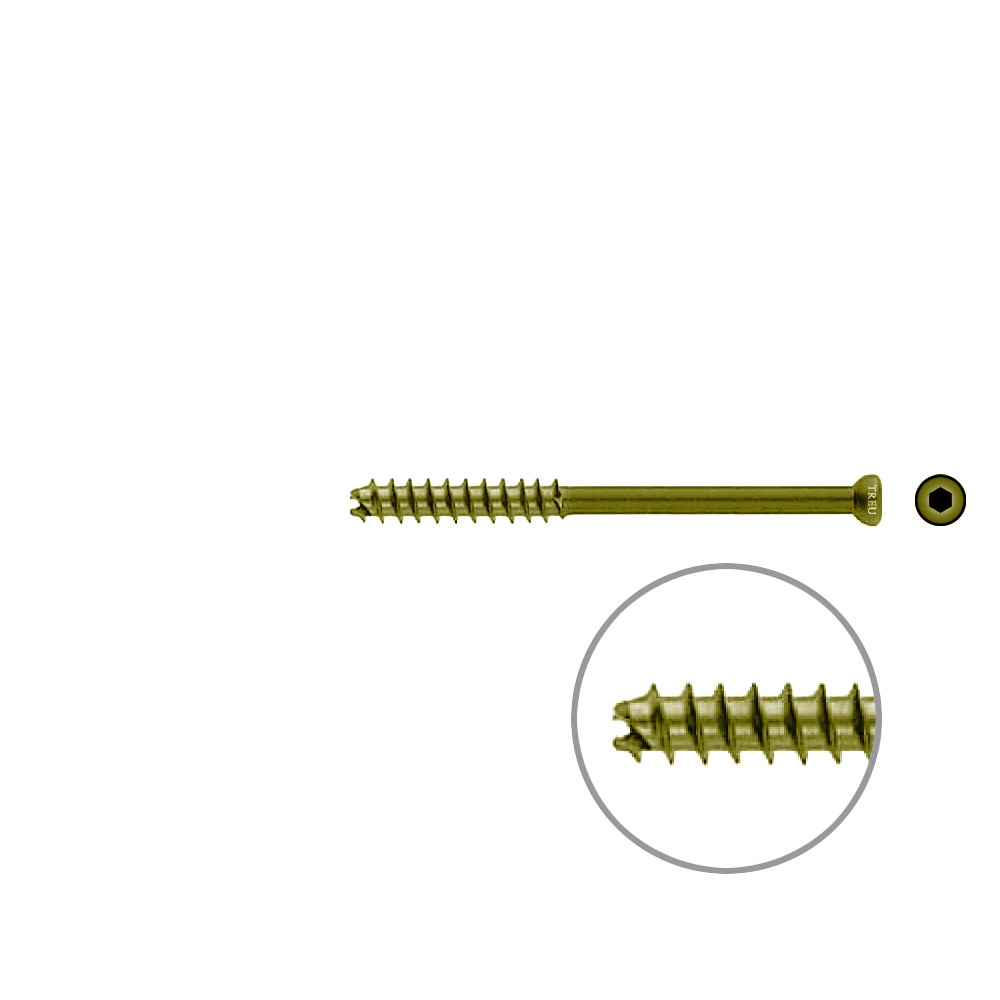 Hollow Screw 7 x 80mm thread 32mm selfcutting, TITAN 