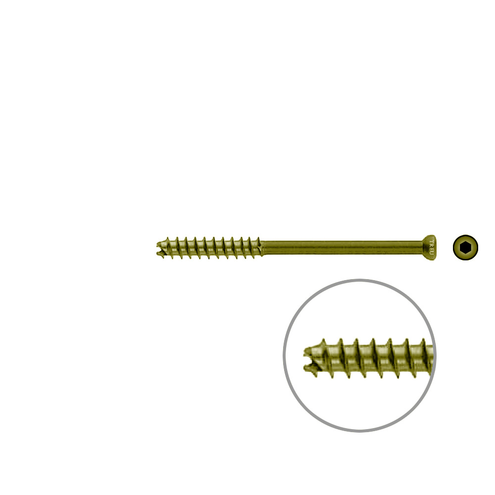 Hohlschraube 7mm Dia x 85mm 32 G selbstschneidend, TITAN 