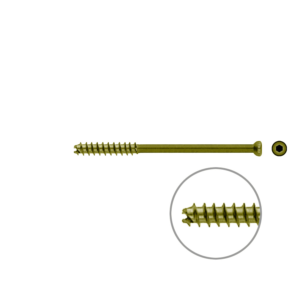 Hohlschraube 7mm Dia x 95mm 32 G selbstschneidend, TITAN 