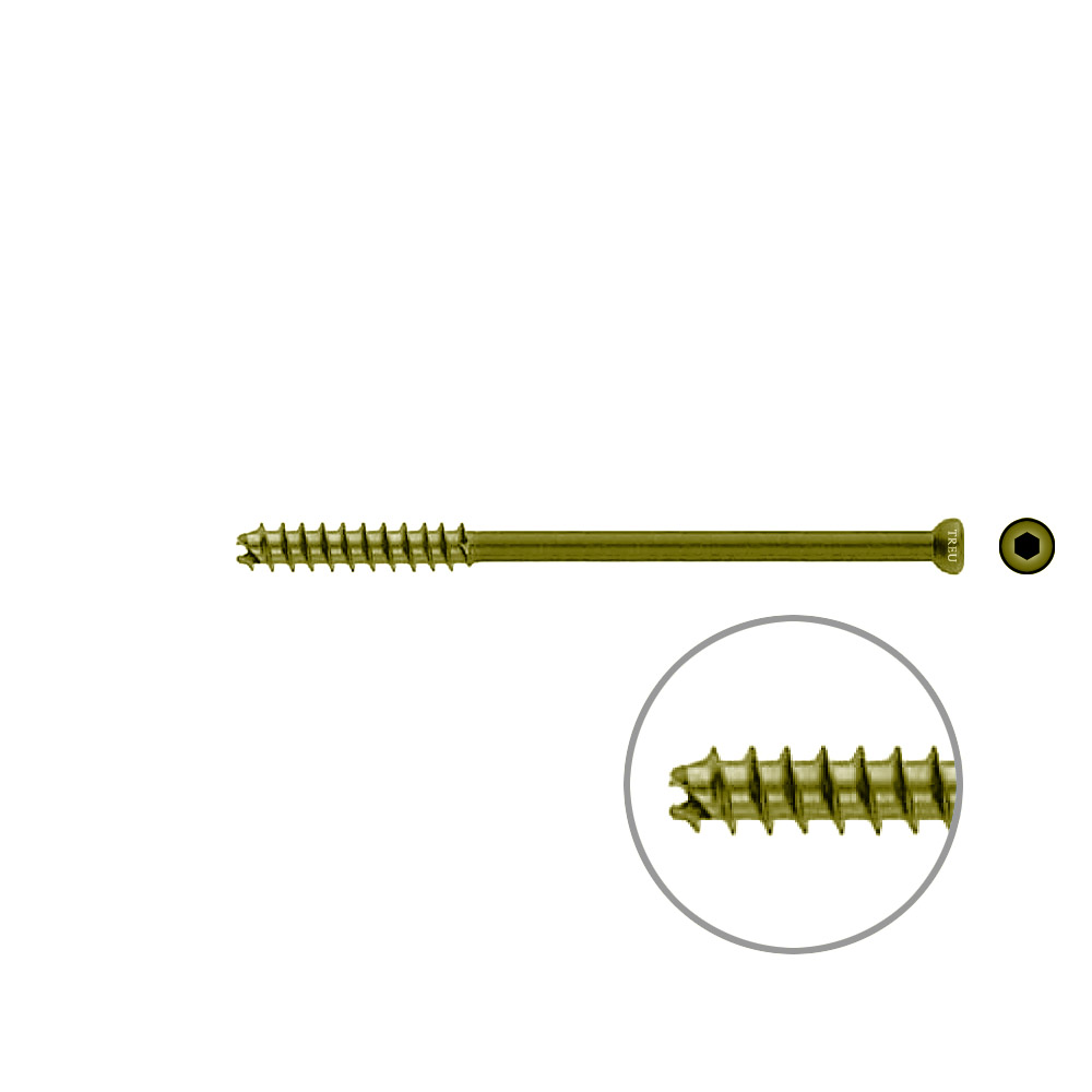 Hollow Screw 7 x 100mm thread 32mm selfcutting, TITAN 