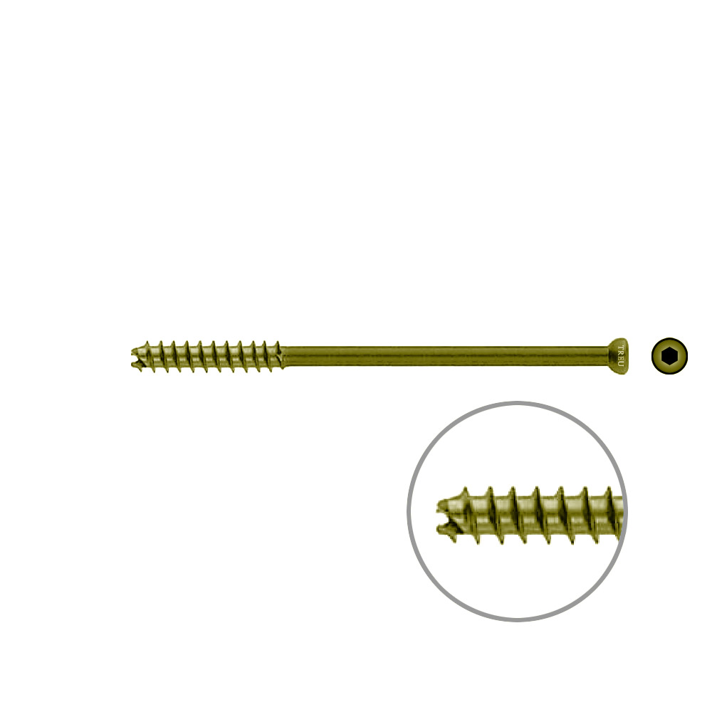 Hollow Screw 7 x 105mm thread 32mm selfcutting, TITAN 