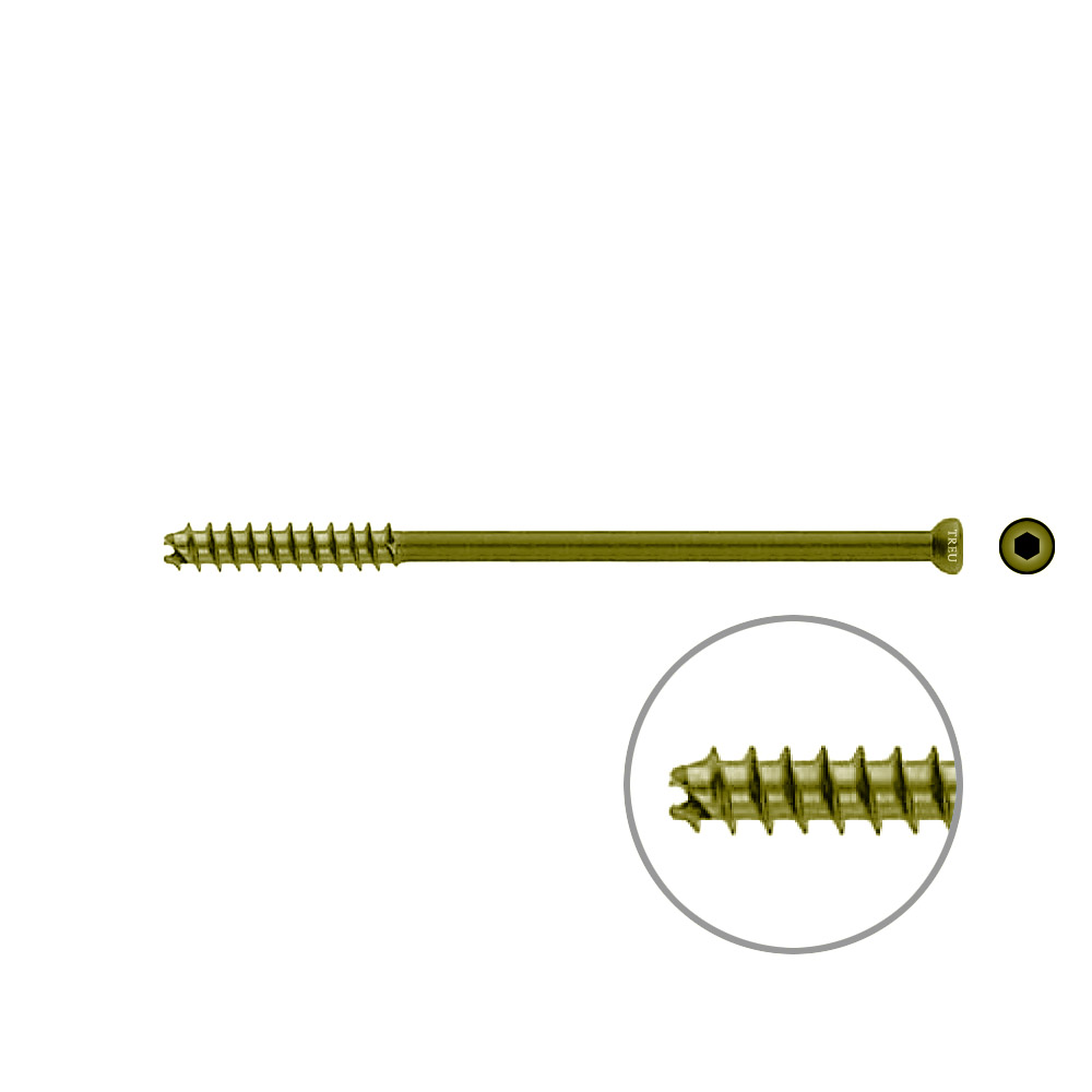 Hollow Screw 7 x 110mm thread 32mm selfcutting, TITAN 