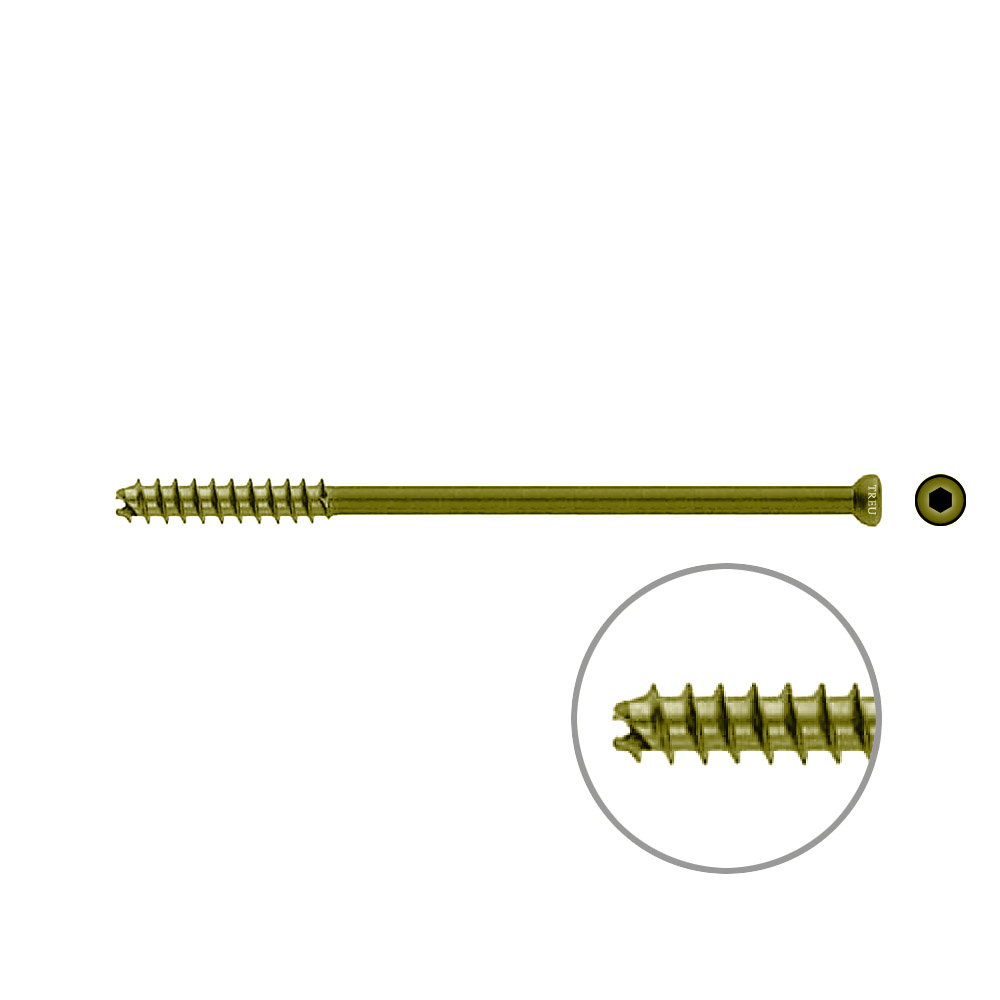 Hohlschraube 7mm Dia x 115mm 32 G selbstschneidend, TITAN 