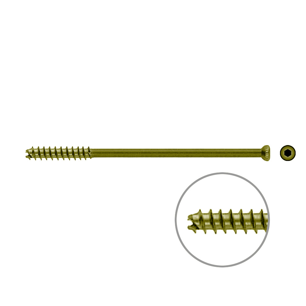 Hollow Screw 7 x 120mm thread 32mm selfcutting, TITAN 