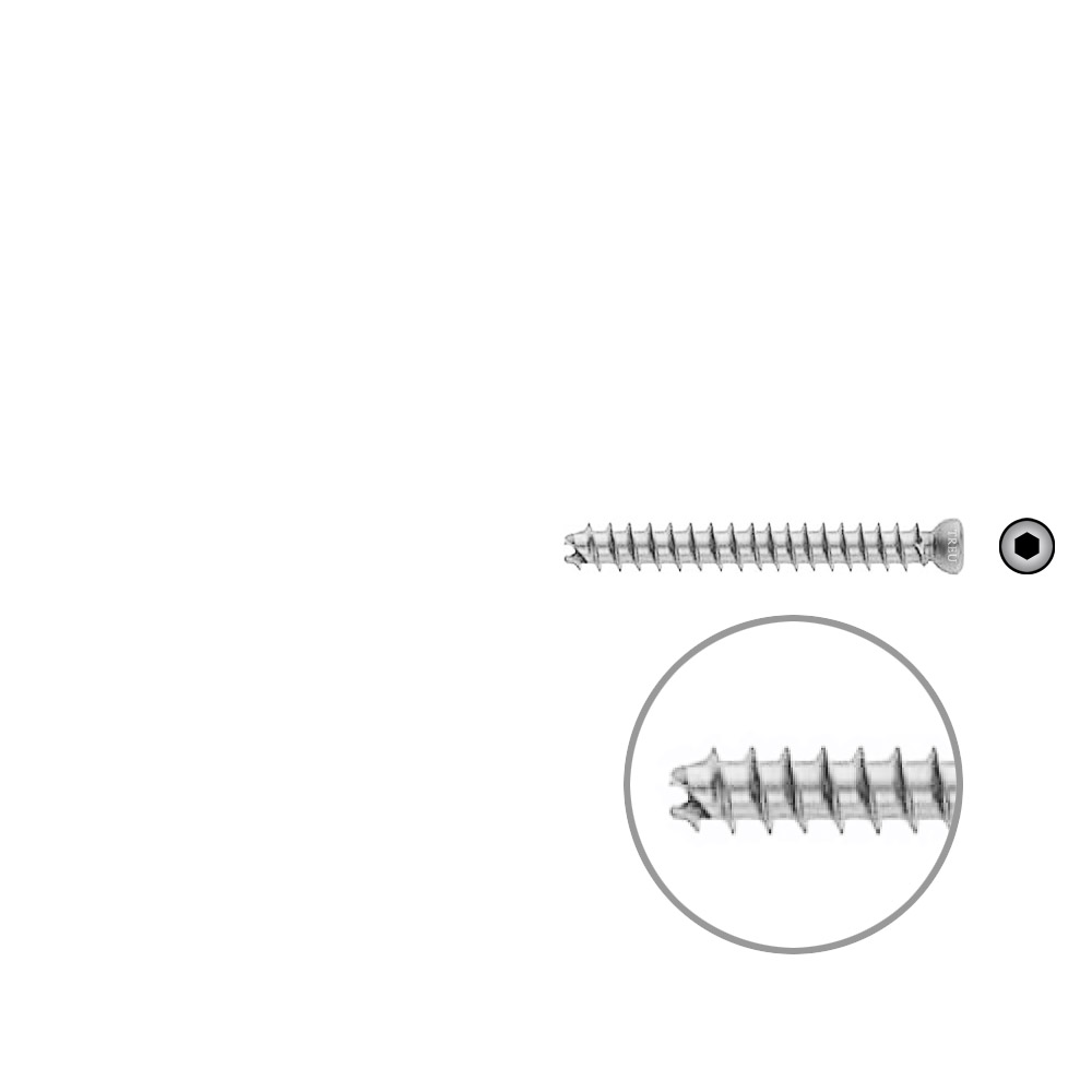 Hollow Screw 7x55mm full thr. 