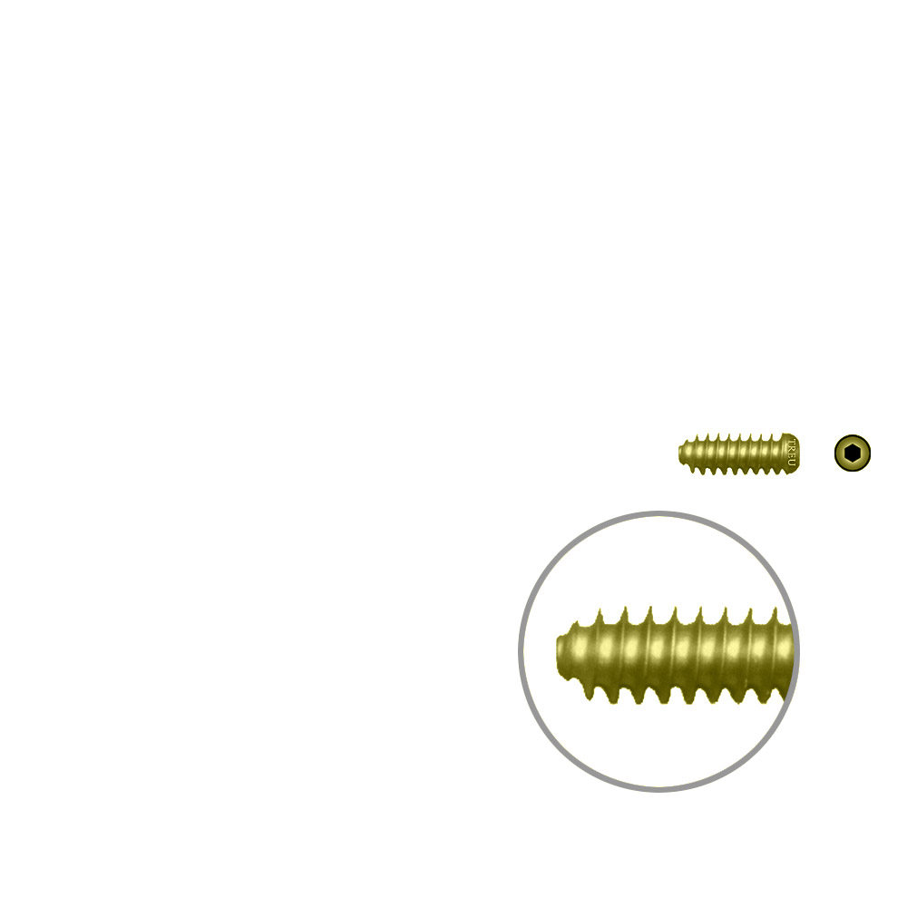 Interfer.Screw Titan.7 x 20mm cannulated with round head 