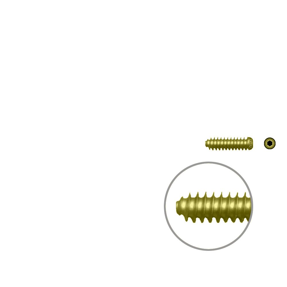 Interfer.screws Titan 7x25mm cann. with round head 