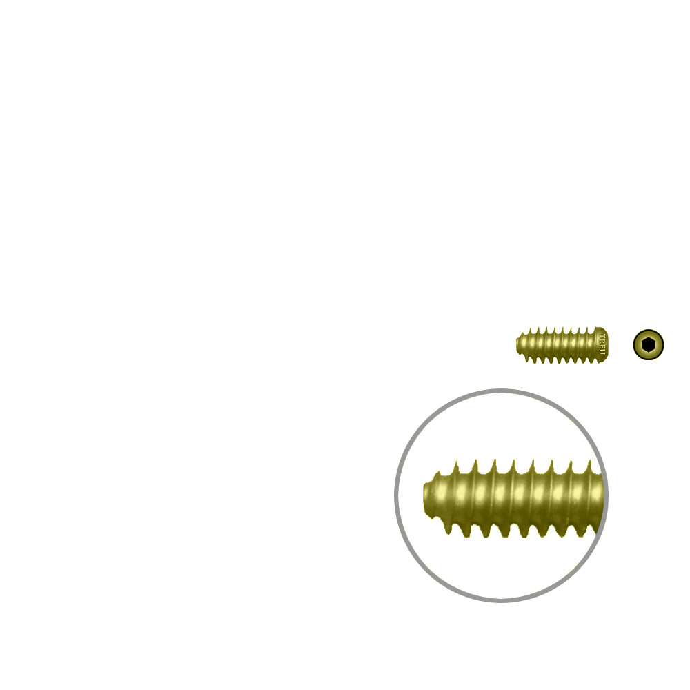 Interfer.Screw Titan.8 x 20mm cannulated with round head 